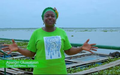 WOMEN EMPOWERMENT IN COASTAL FISHERIES IN NIGERIA:  Increasing Resilience to Climate Change Adaptation through Films and Dialogues (2023 – 2024) With funding support from Africa Center for Energy Policy